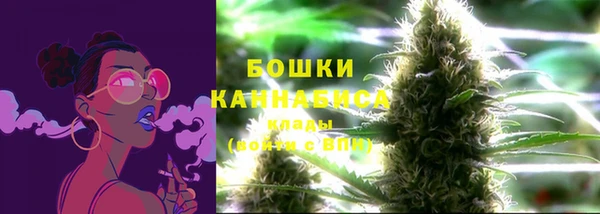 амф Мегион
