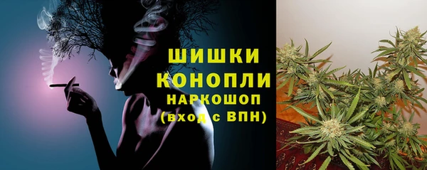 амф Мегион